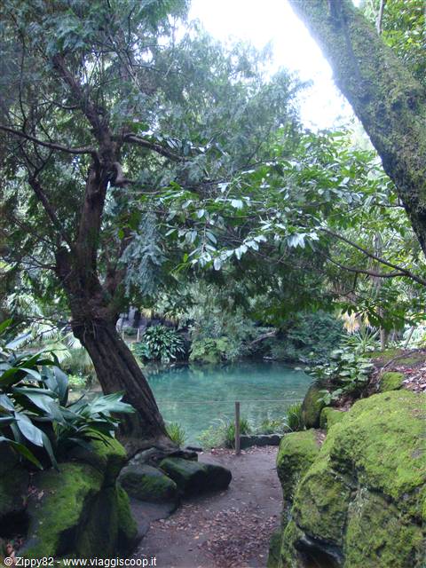 Angoli nascosti del giardino all'inglese