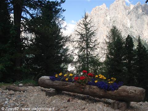 Cartoline dal Catinaccio