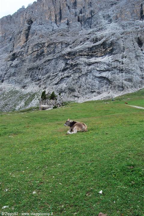 ..la tranquillità