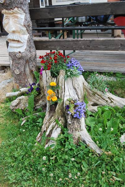 Sculture di montagna