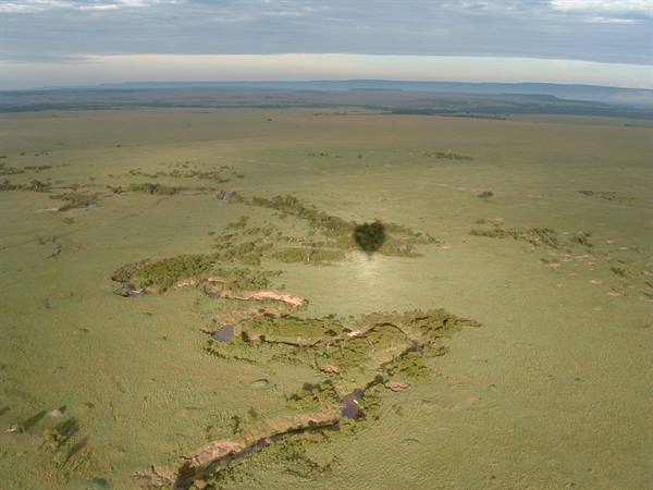 Masai Mara in Mongolfiera