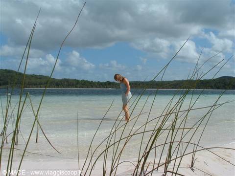 Fraser Island 2