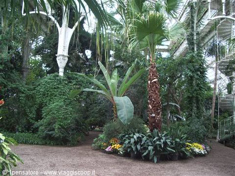 Botanischer Garten