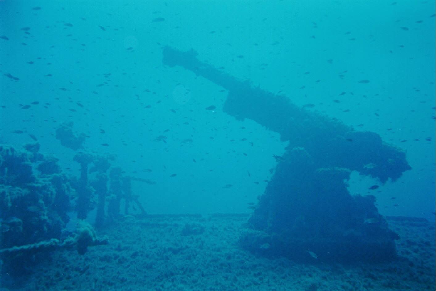 CANNONE RELITTO KT.12