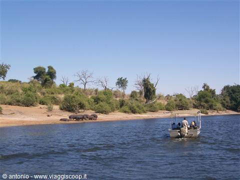 Chobe Park