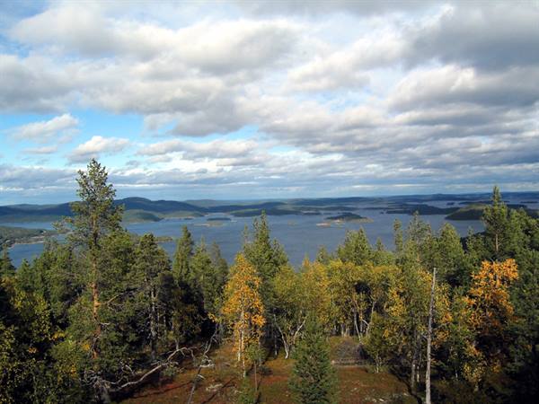 inari