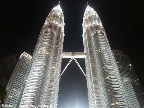 Malacca malese