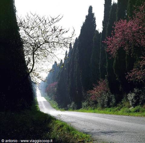 Toscana-Provincia Livorno(escluse isole)