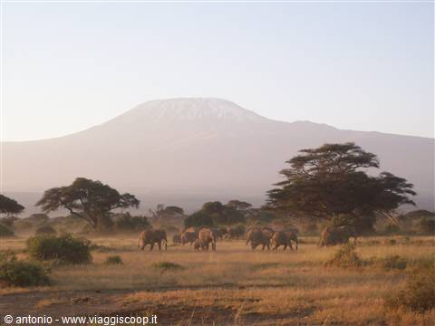 KENYA