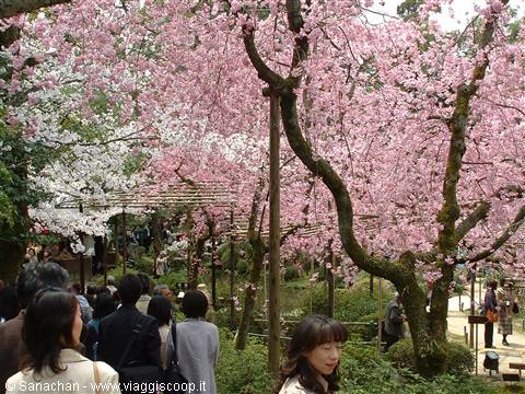giardini heian shrine