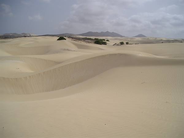 DESERTO