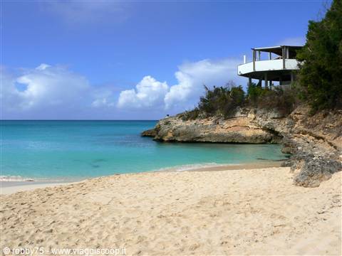 SPLENDIDA ANGUILLA