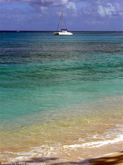 WE LOVE BARBADOS...