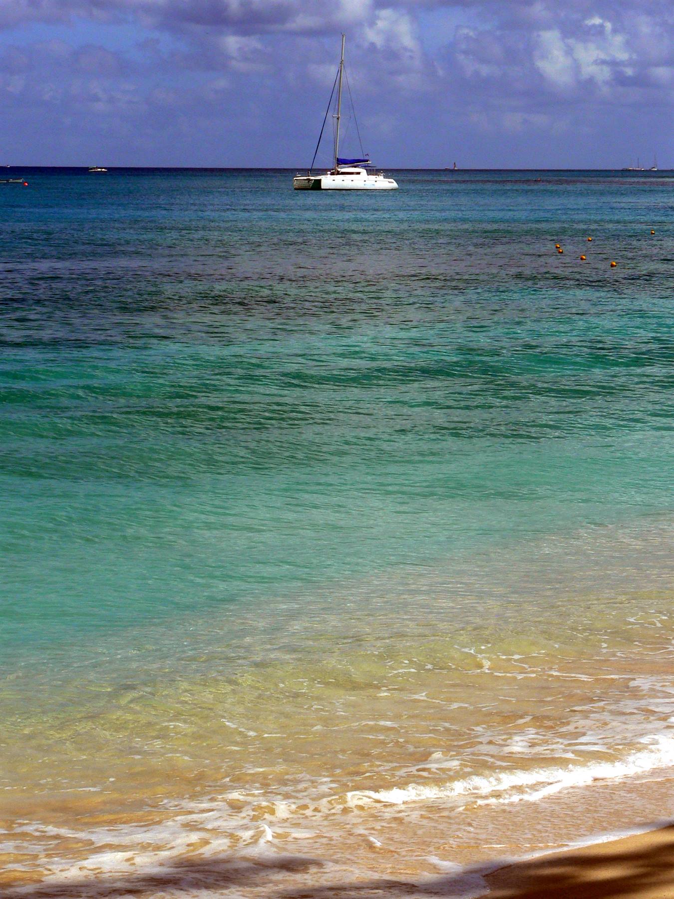 WE LOVE BARBADOS...