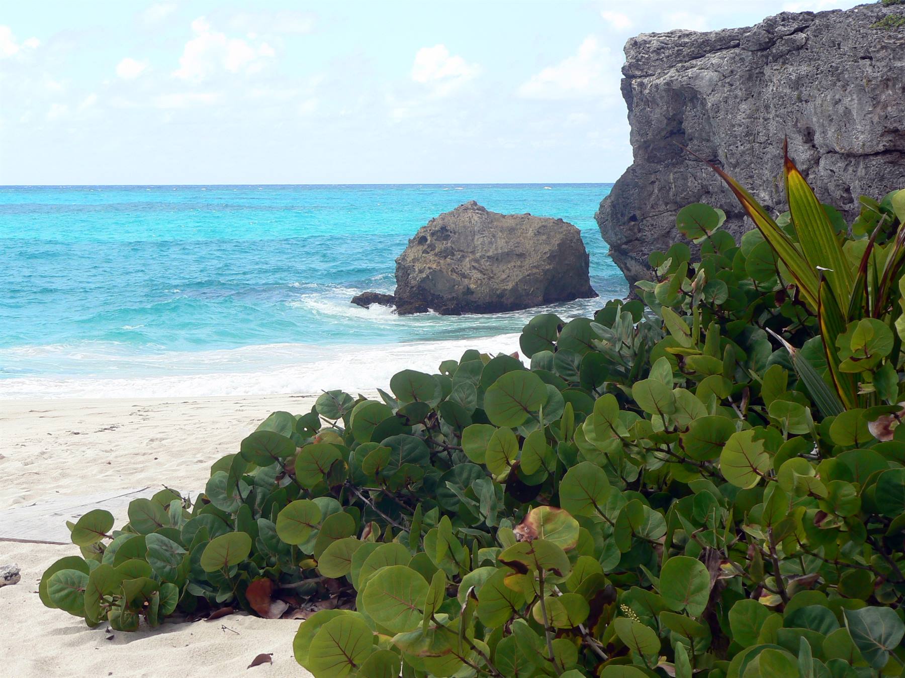 Foto di viaggio in BARBADOS