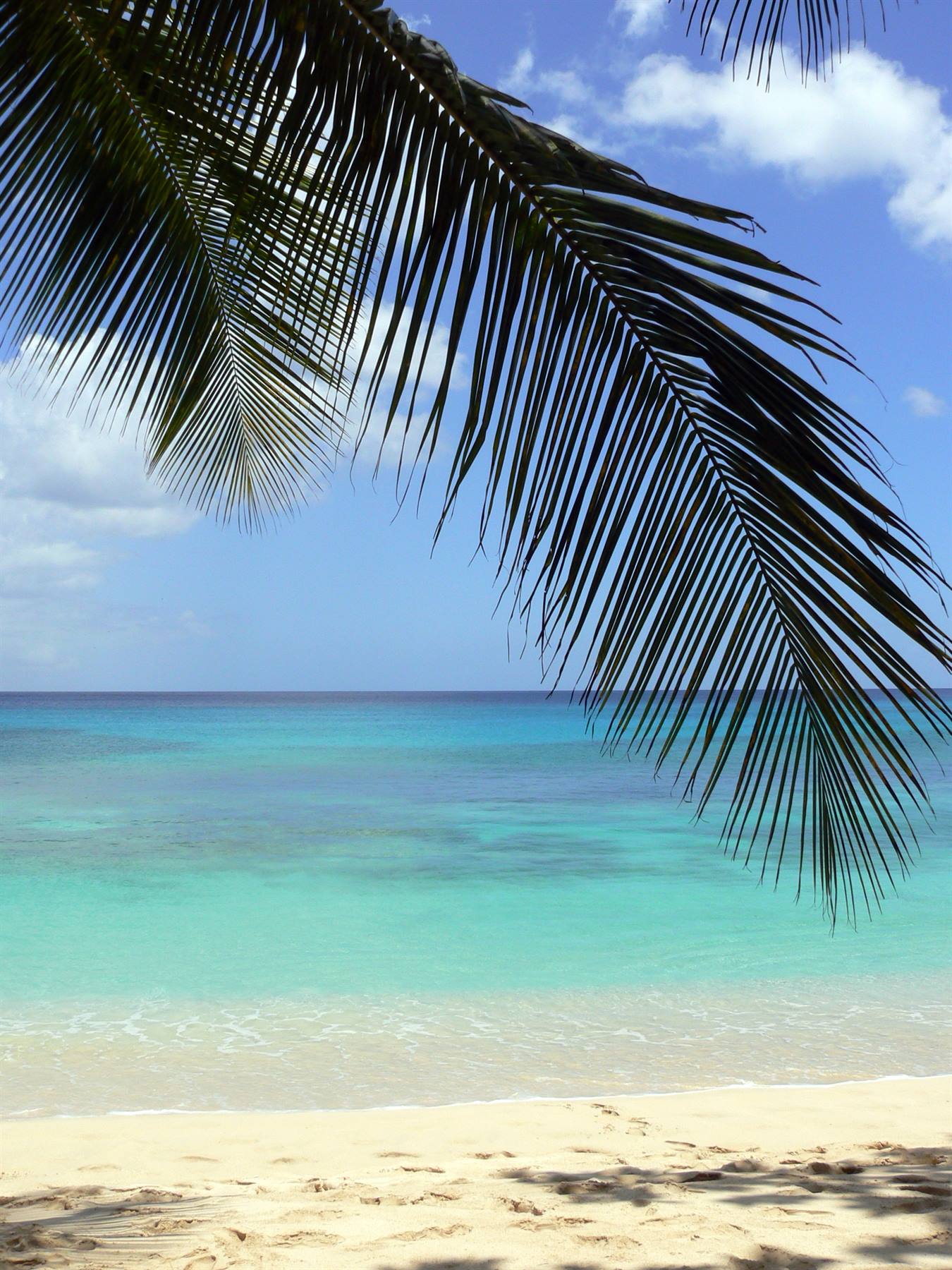 Foto di viaggio in BARBADOS