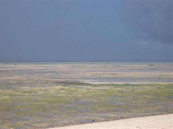 Spiaggia Jacaranda bassa marea