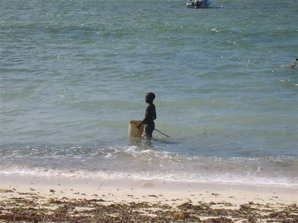 Piccolo pescatore sulla spiaggia del Jacaranda