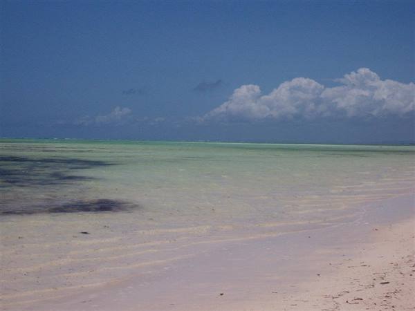 Kenya - Jacaranda Beach