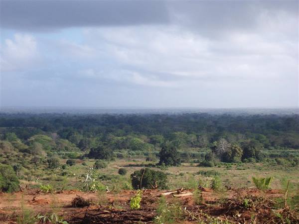 Kenya - verso lo Tzavo Est