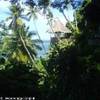  MICRONESIA, FEDERATED STATES OF 