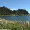  NUOVA ZELANDA 