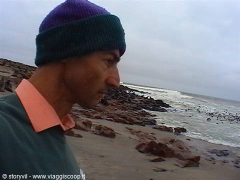 foche di cape cross