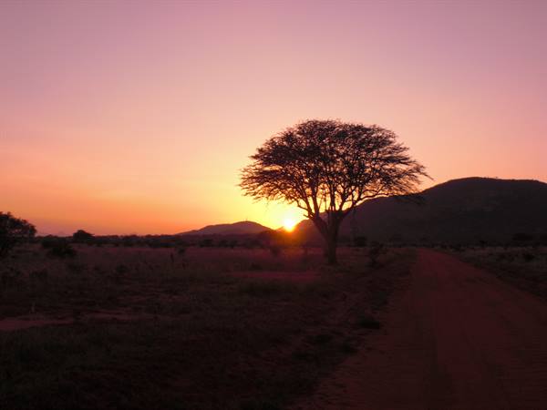 TRAMONTO TSAVO EAST
