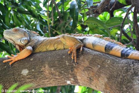 costa rica by born2travel