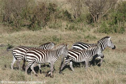 kenya by www.born2travel.it