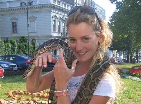 Serbia by www.born2travel.it