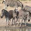  SUD AFRICA 