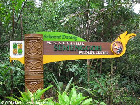 Semenggoh