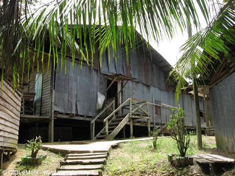 Ingresso Longhouse