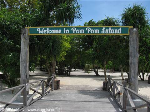 Pom Pom Island