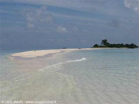 Timba Timba