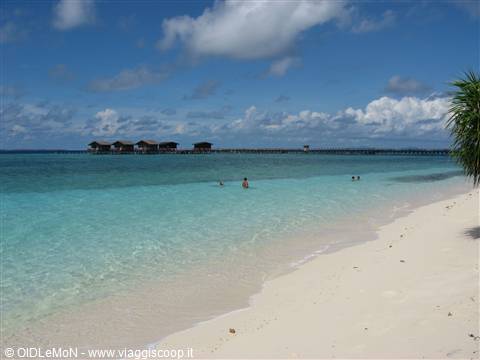 Pom Pom spiaggia