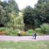 St. James's park REGNO UNITO 