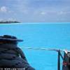 Che colori !!!!! POLINESIA FRANCESE 