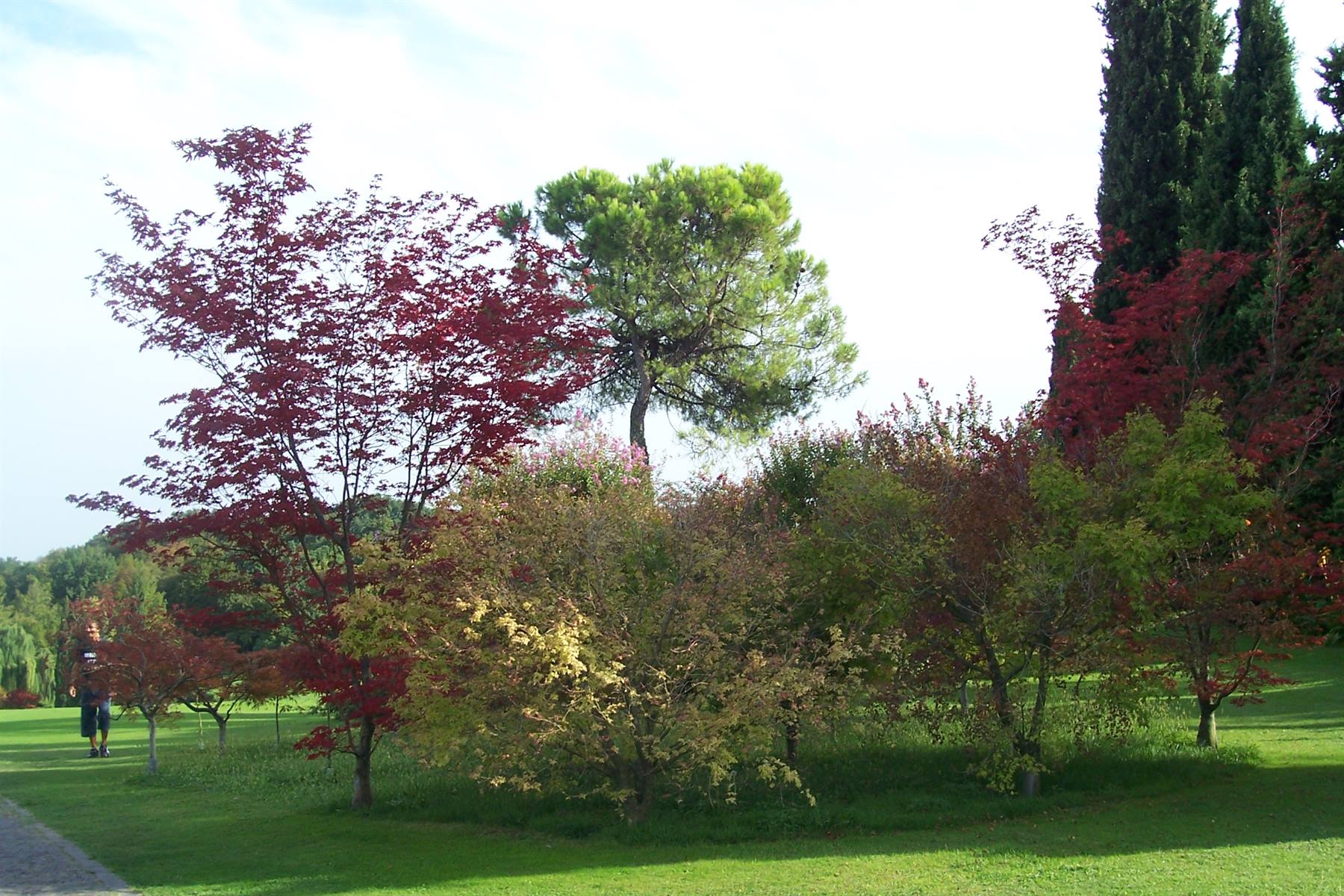 Foto di viaggio in ITALIA