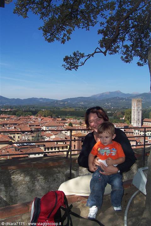 lucca,torre guinigi