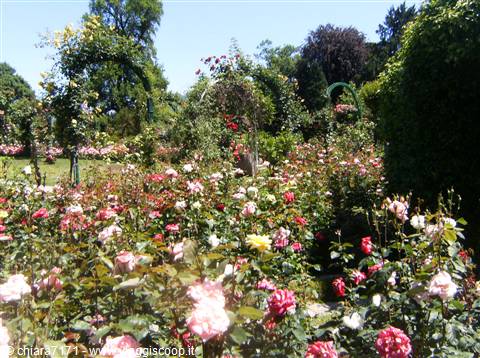 villa pallavicino