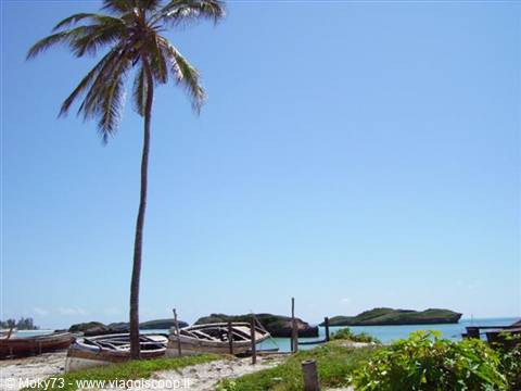 spiaggia vicino all'isola dell'amoe