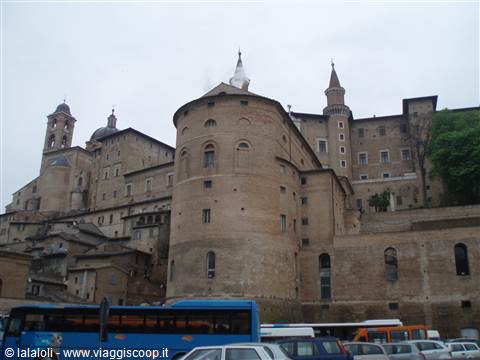 Urbino
