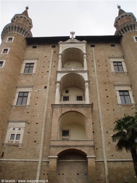 Urbino