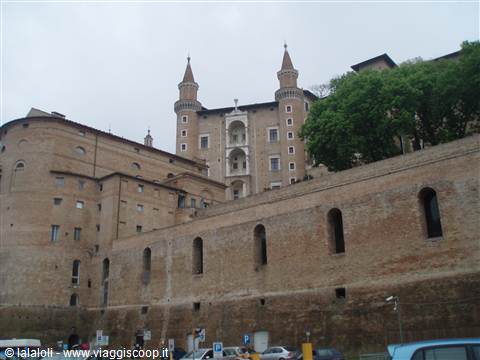 Urbino