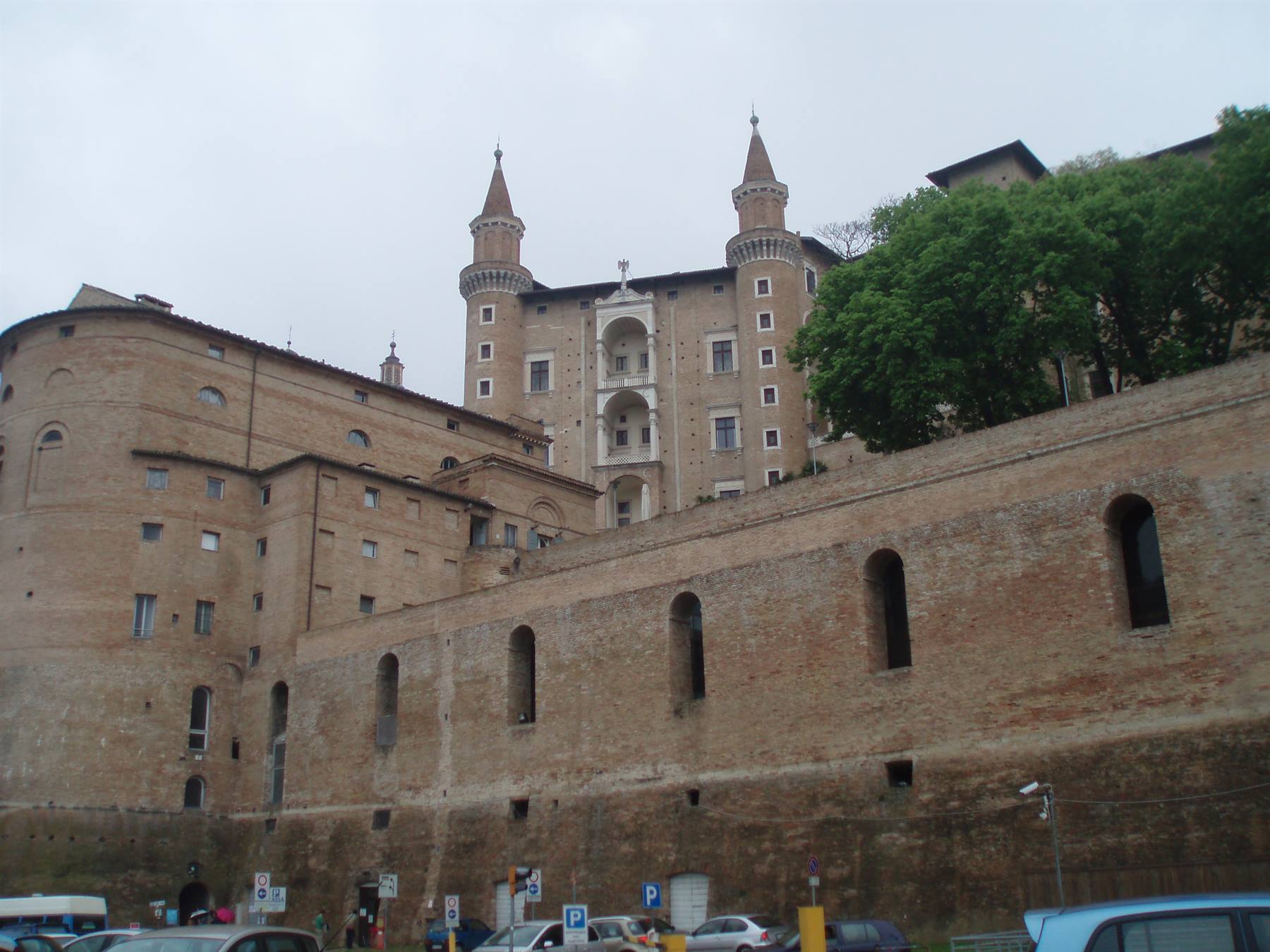 Urbino