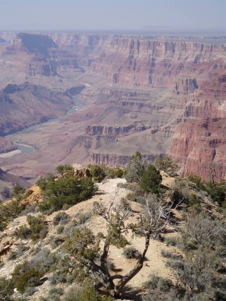 grand canyon