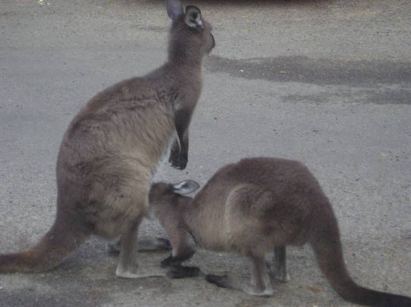 so sweet!!