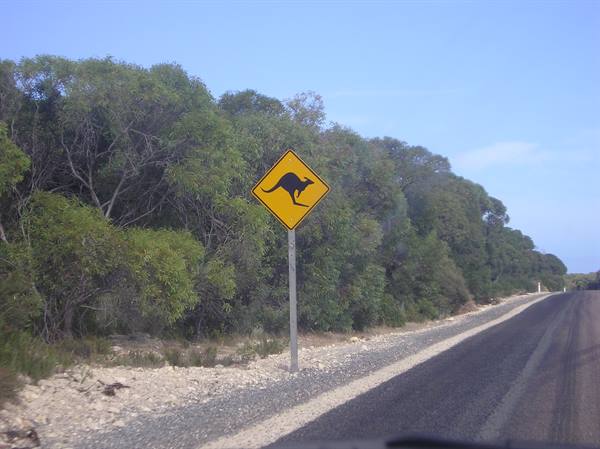 on the road